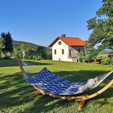 Apartma Hisa Na Ravnah With Hot Tub Pišece المظهر الخارجي الصورة